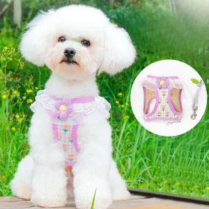 Lace Flower Design Plaid Dog Harness Leash Set