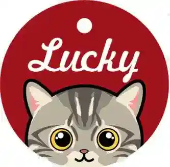 Medaglietta Gatto Personalizzata con Nome e Campanellino - immagine 4