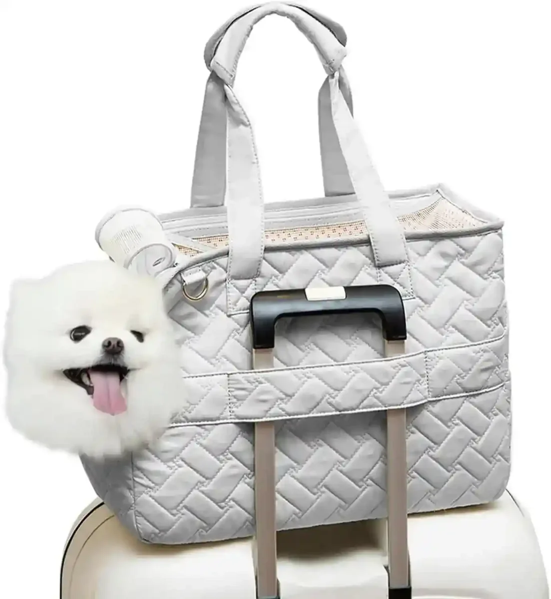 Trasportino Patazone per Cani e Gatti con Tasche e Tracolla - immagine 3