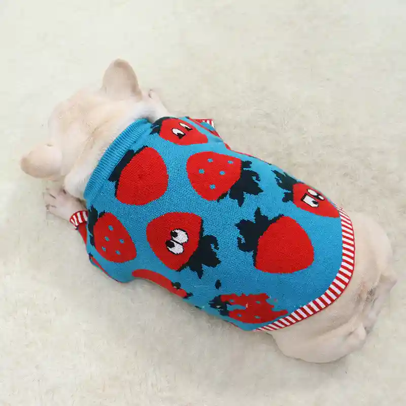 Maglione per Cani Fragola - Caldo e Divertente - immagine 3