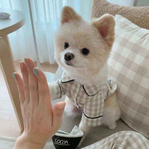 Camicia Pigiama Quadri Chic per Can