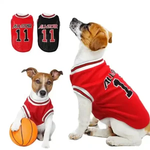Canotta Basket per Cani All Star - Abbigliamento Sportivo