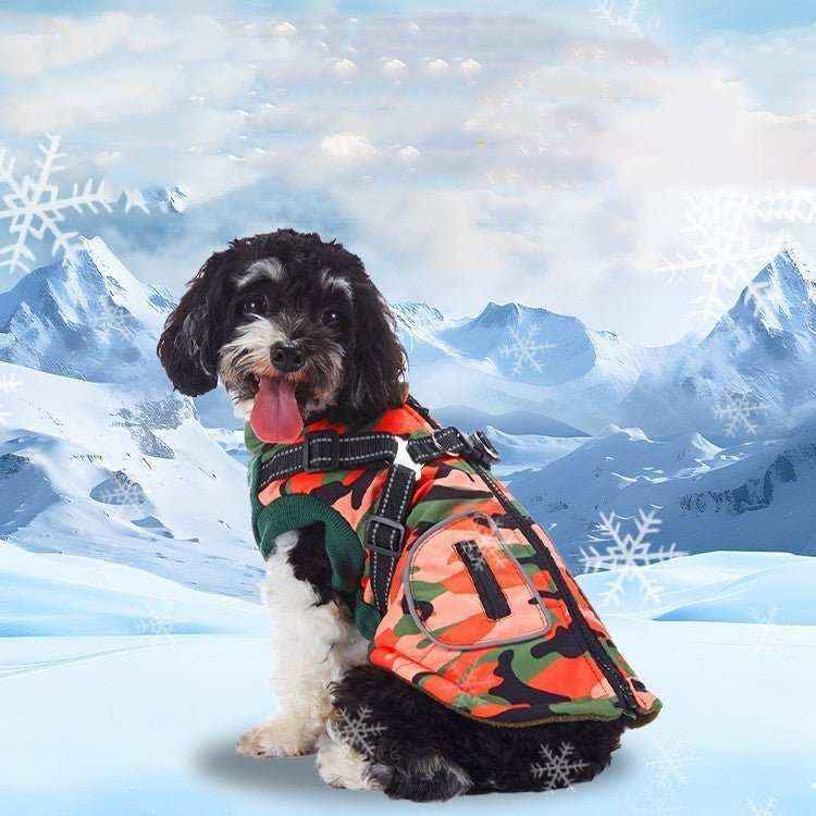 Cappottino Alpaka: Comfort e Stile per il Tuo Amico a Quattro Zampe - immagine 3