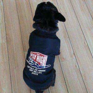 Cappottino per Cani Bulldog con Imbottitura in Pile - Flyhigh