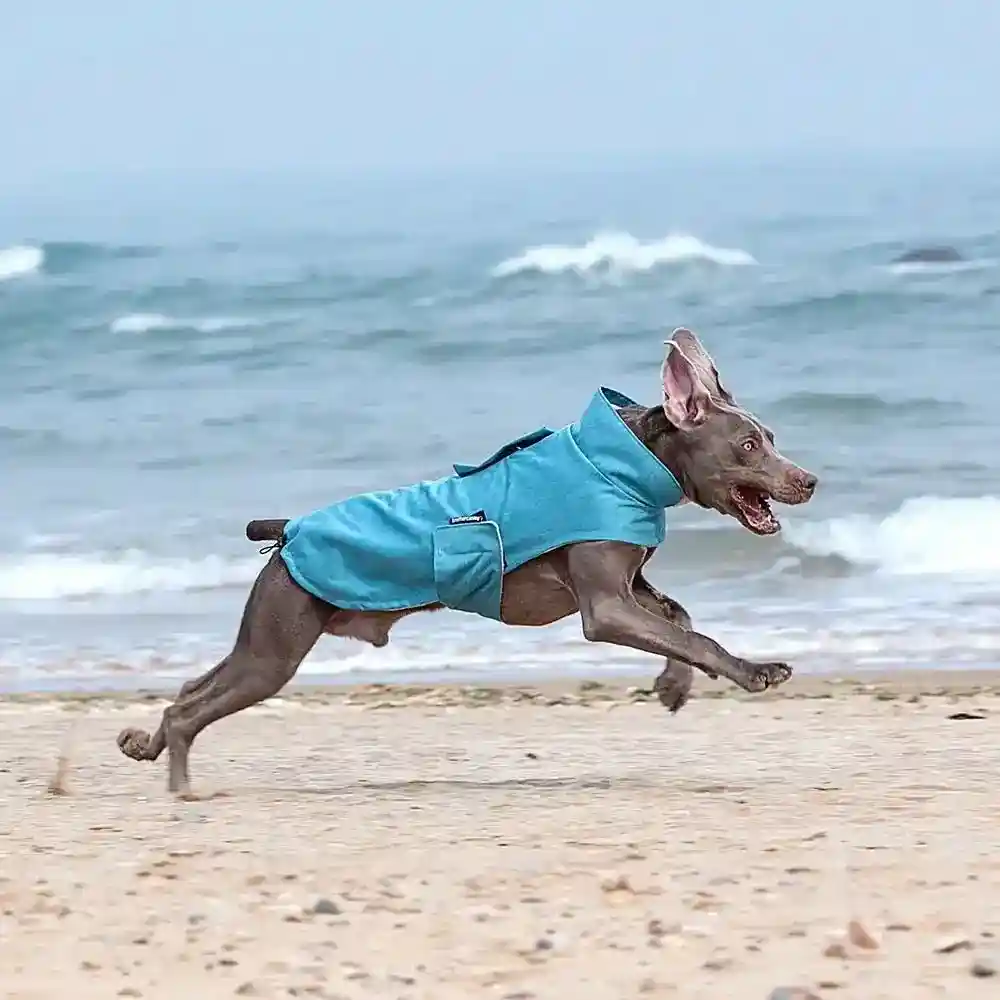 Cappottino per Cani di Taglia Grande Modello "BrotherCatDog" – Imbottitura in Pile e Colletto Anti-Vento - immagine 3