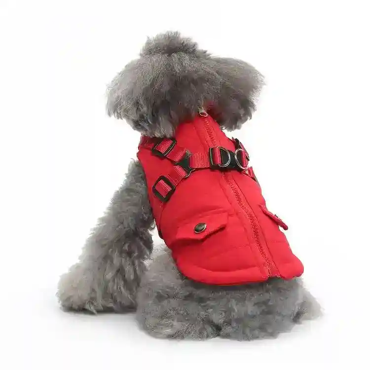 Cappottino per Cani Impermeabile con Pettorina Integrata - Modello "Cortina" - immagine 5