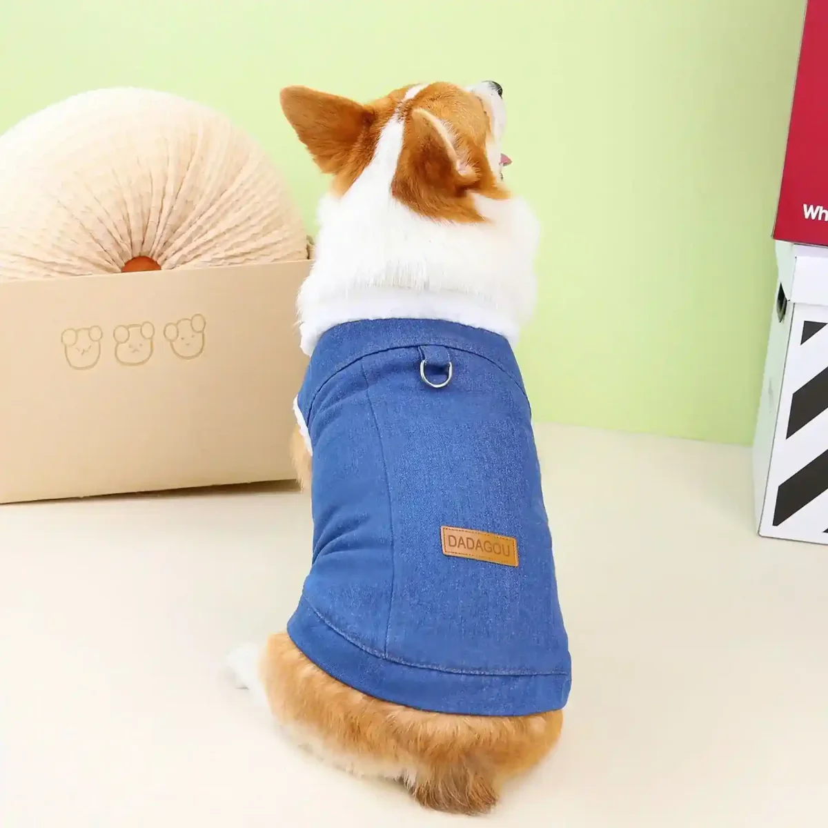 Cappottino per Cani specifico Corgi DADAGOU - Modello "Corgi Special" - immagine 4