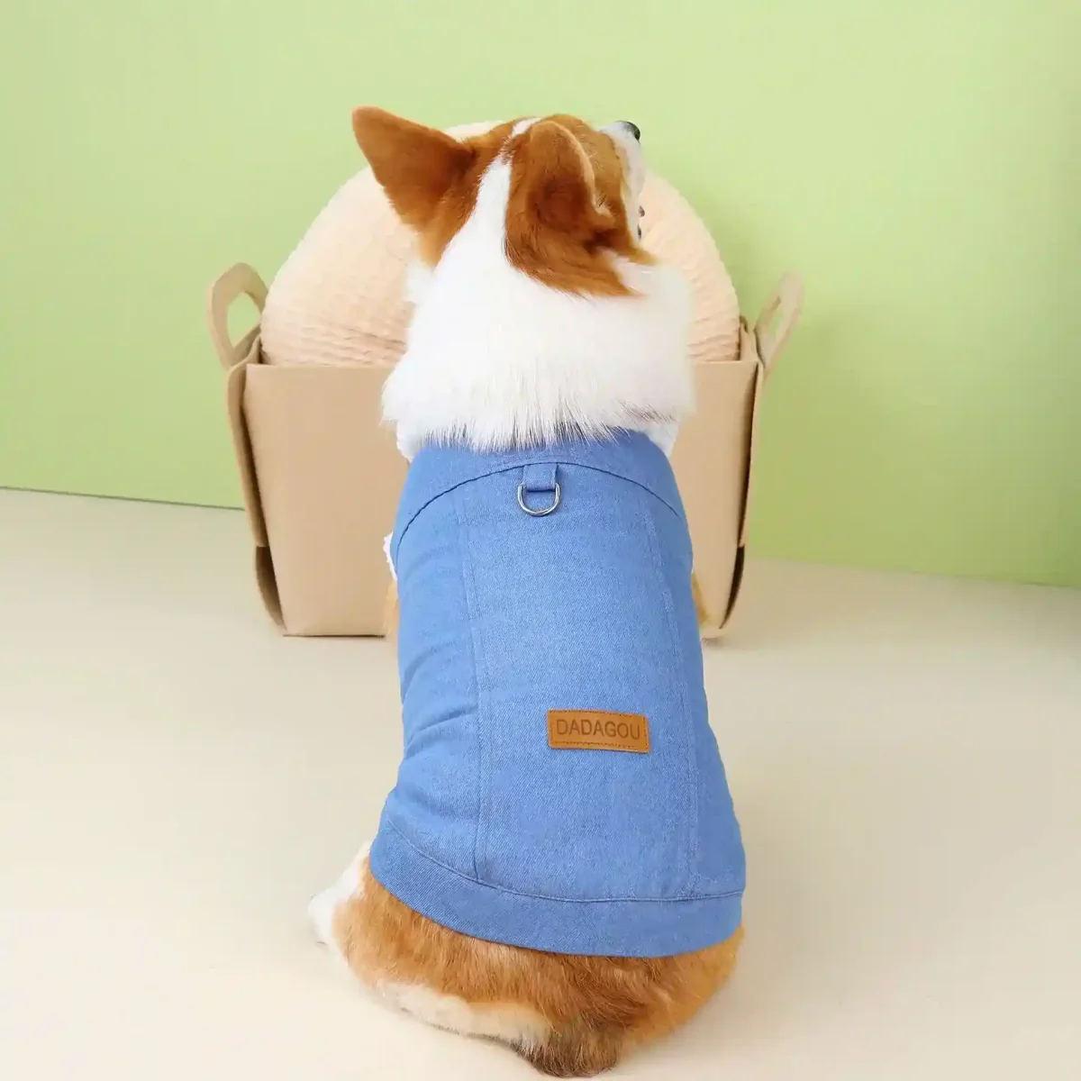 Cappottino per Cani specifico Corgi DADAGOU - Modello "Corgi Special" - immagine 6