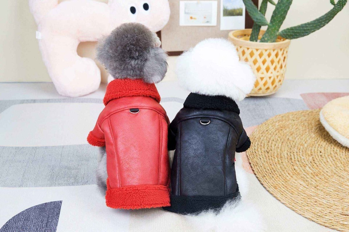 Cappottino Scamosciato per Cani "Blue Moon" con Imbottitura in Pile e Pettorina Integrata - immagine 5