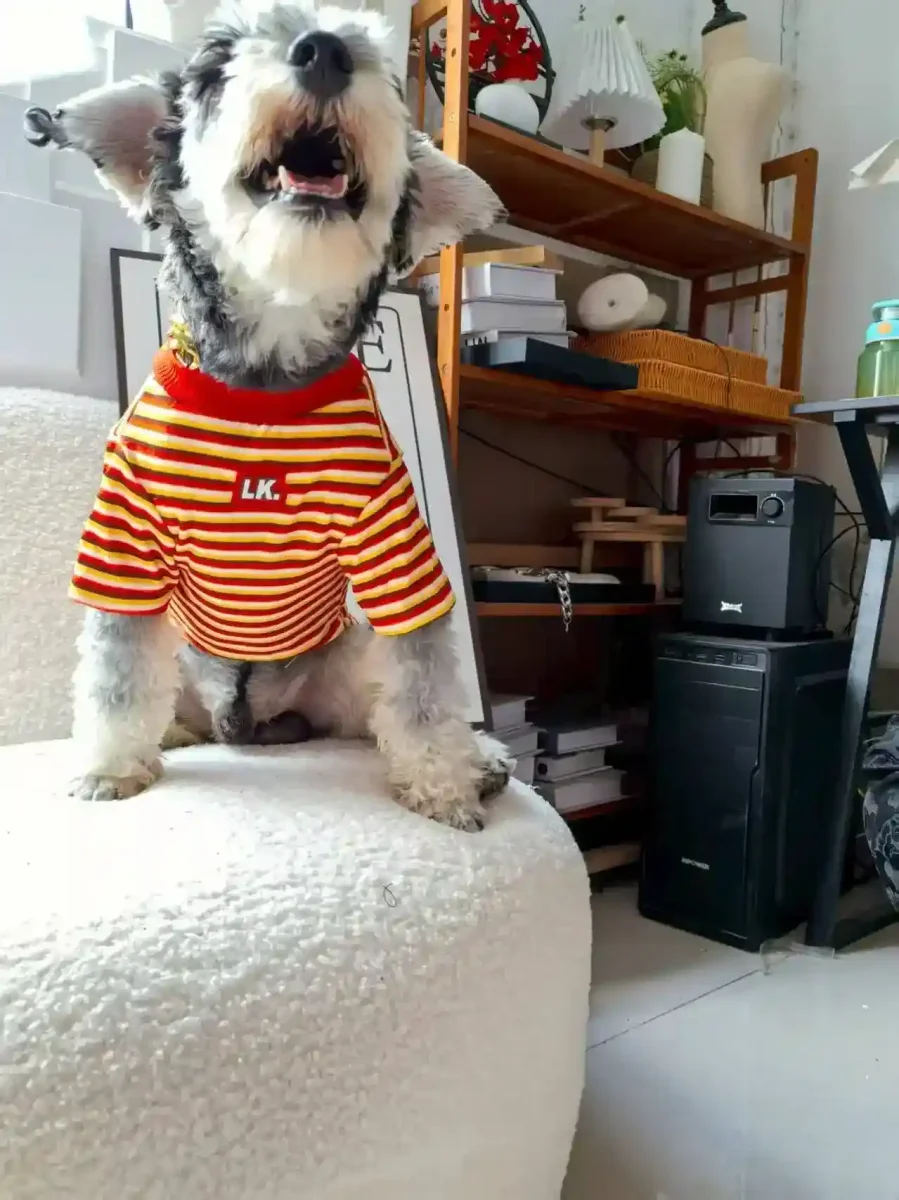 Maglia a Righe Elasticizzata per Cani - Calda e Confortevole - immagine 7