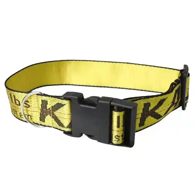 Collare e Guinzaglio per Cani in Nylon Resistente - Modello "Kaji Pet" - immagine 8