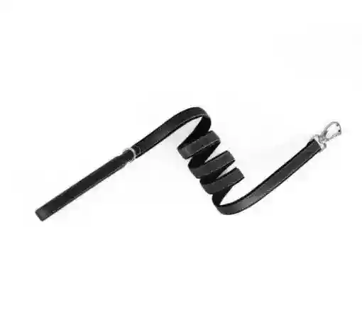 Collare "Track & Tail" con Alloggio per AirTag - immagine 8