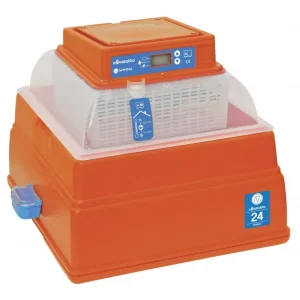 NOVITAL | Incubatrice Covatutto 24 Digital