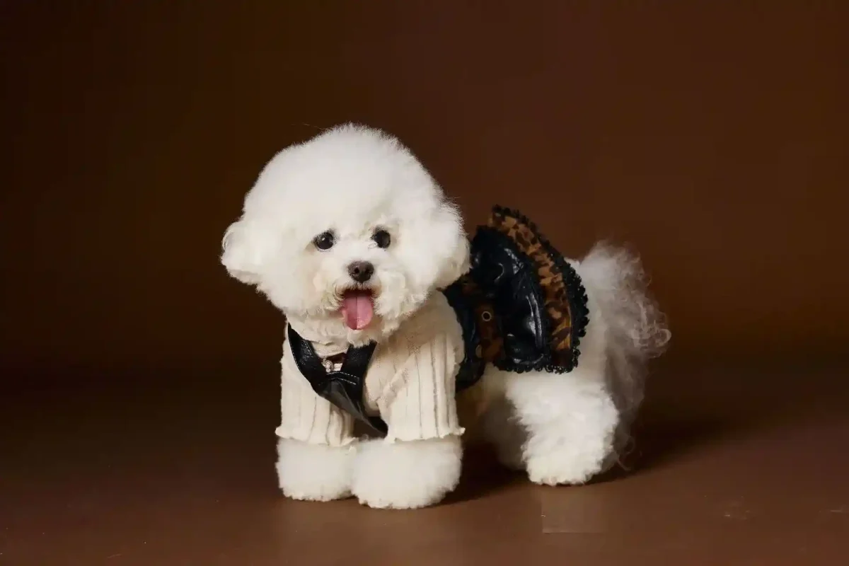 Vestito Elegante Buttons per Cani - Fiocco sul Colletto - immagine 3