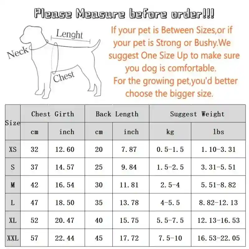 Tutina a Righe con Orsetto per Cani e Gatti - Blu/Marrone - immagine 4