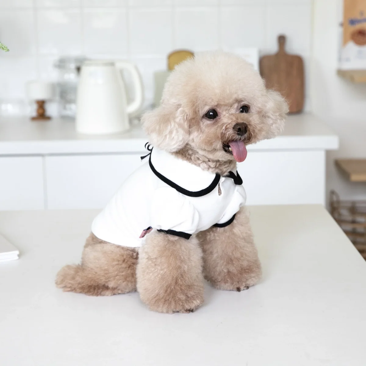 Sweet Collar Puffy Sleeves Dog Cat Tee - immagine 8