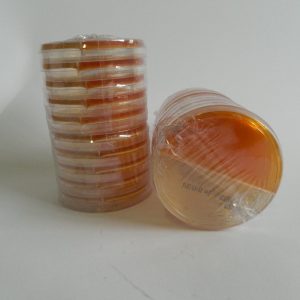 DTM+SABOURAUD AGAR 20PS