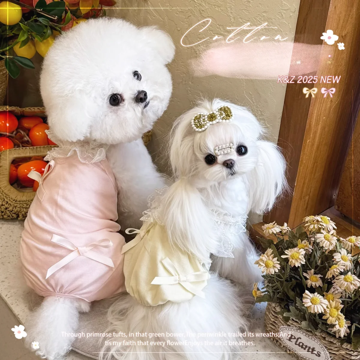 Sweet Lace Layered Collar Dog Vest/Jumpsuits