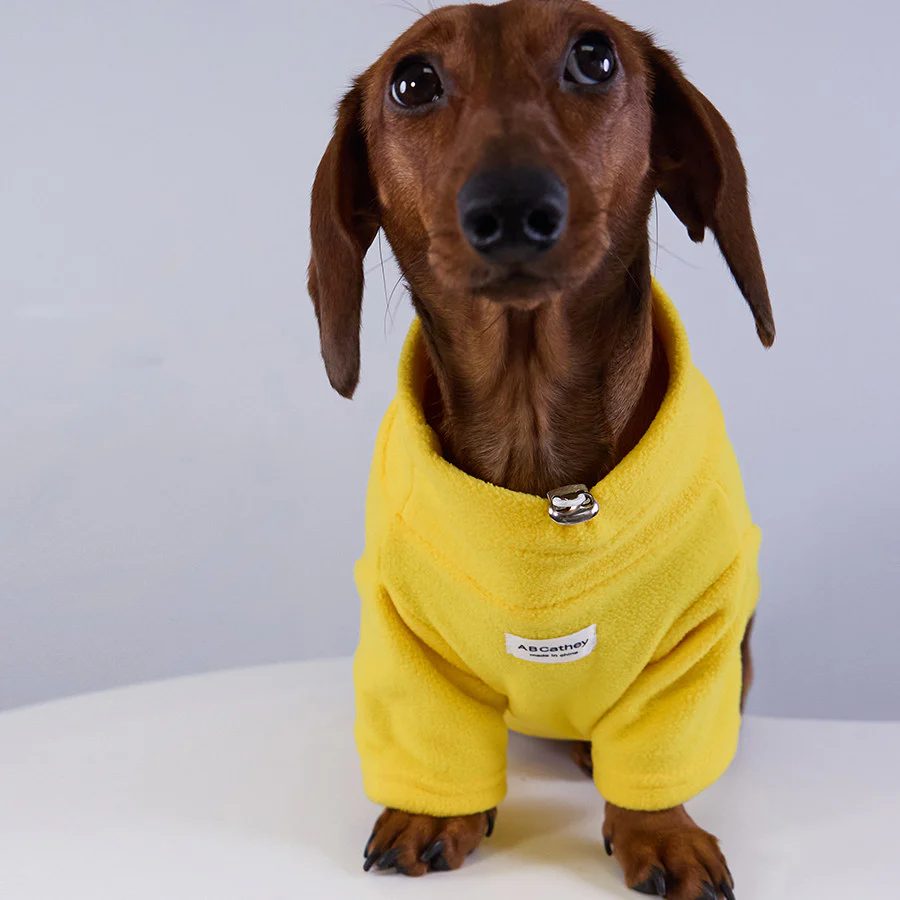 Felpa Cane Pile Morbido Caldo Inverno Autunno - immagine 3