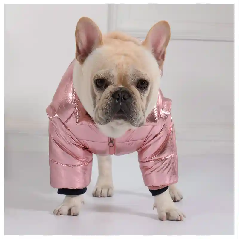 Cappotto Impermeabile Cani Bulldog Zip - Imbottito - immagine 3