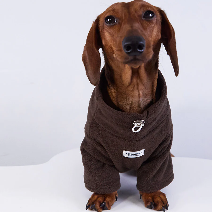 Felpa Cane Pile Morbido Caldo Inverno Autunno - immagine 6