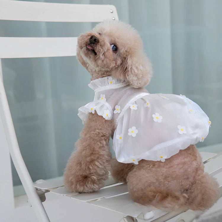 Sweet Flower Design Tulle Dog Cat Dress - immagine 4