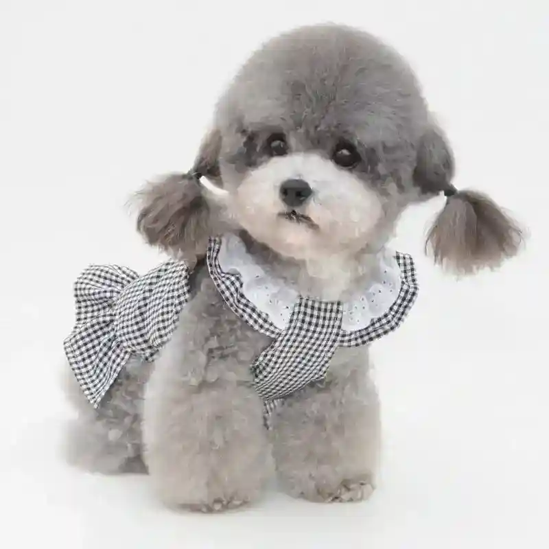 Vestito per Barboncino Toy con Fiocchetto - Modello Ribbon, Eleganza e Comfort - immagine 4