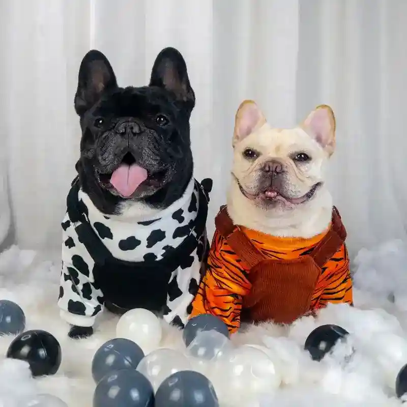 Vestito per Cani Modello "Salopette" – Salopette in Velluto e Maglia in Pile - immagine 3