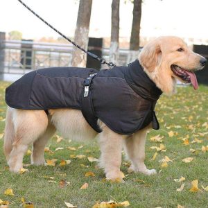 Cappotto Impermeabile per Cani Duomm | Antipioggia con Zampe | Dogmoda