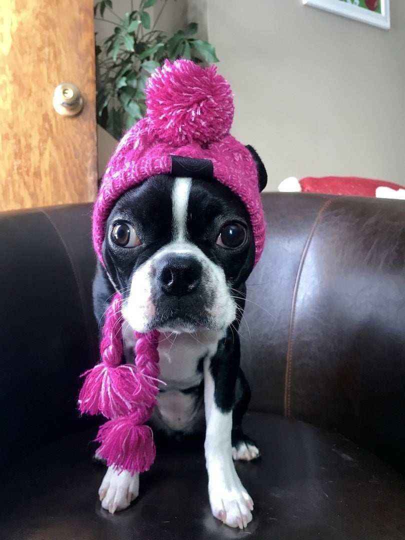 Cappello in Lana per Cani Piccola Taglia "Saint Moritz" - Eleganza e Comfort Invernale - immagine 7