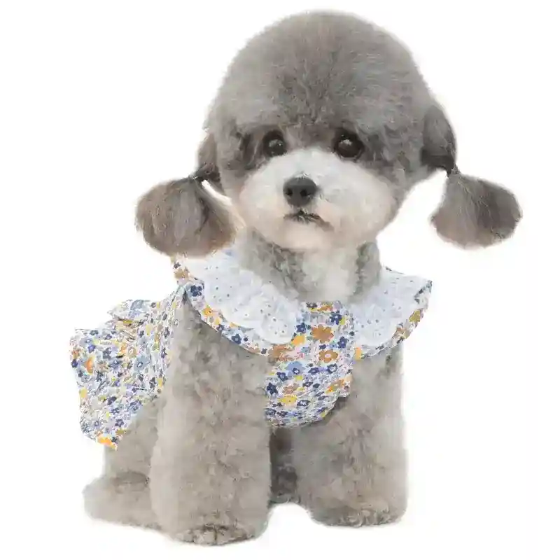 Vestito per Barboncino Toy con Fiocchetto - Modello Ribbon, Eleganza e Comfort - immagine 7