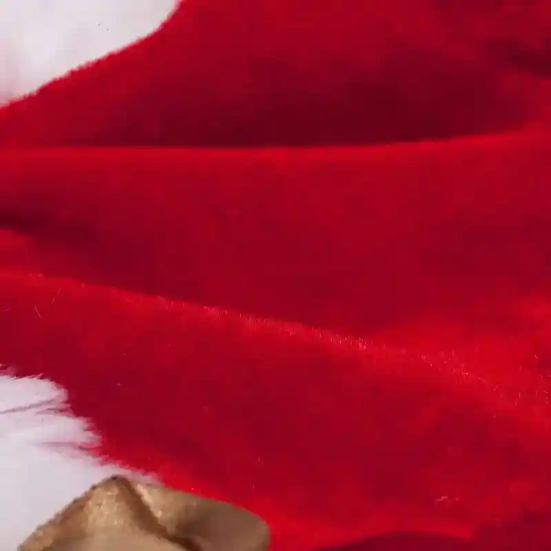 Vestito per cani da Babbo Natale smanicato – Il look perfetto per le festività natalizie - immagine 6