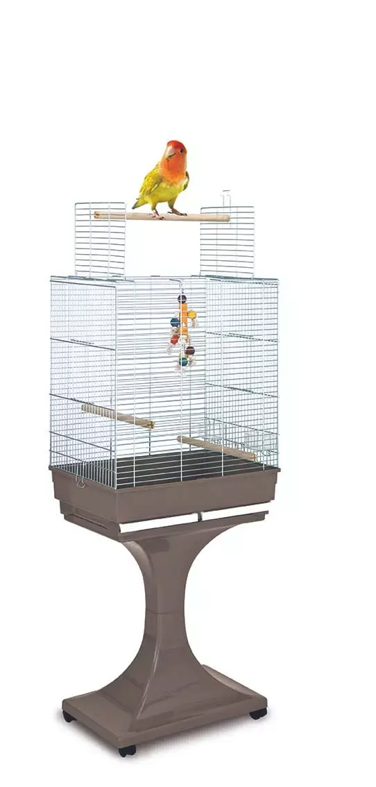 FOP | GABBIA SORAYA CROMATA - immagine 2