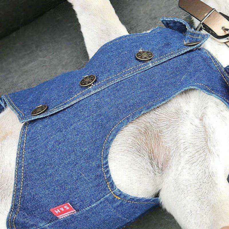 Giubbotto Jeans per Cani di Piccola Taglia Modello "Cray" - immagine 6