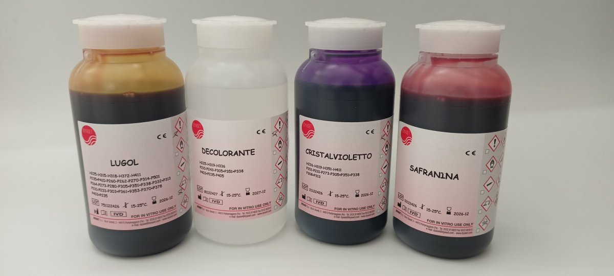 GRAM STAIN KIT 4x250ml