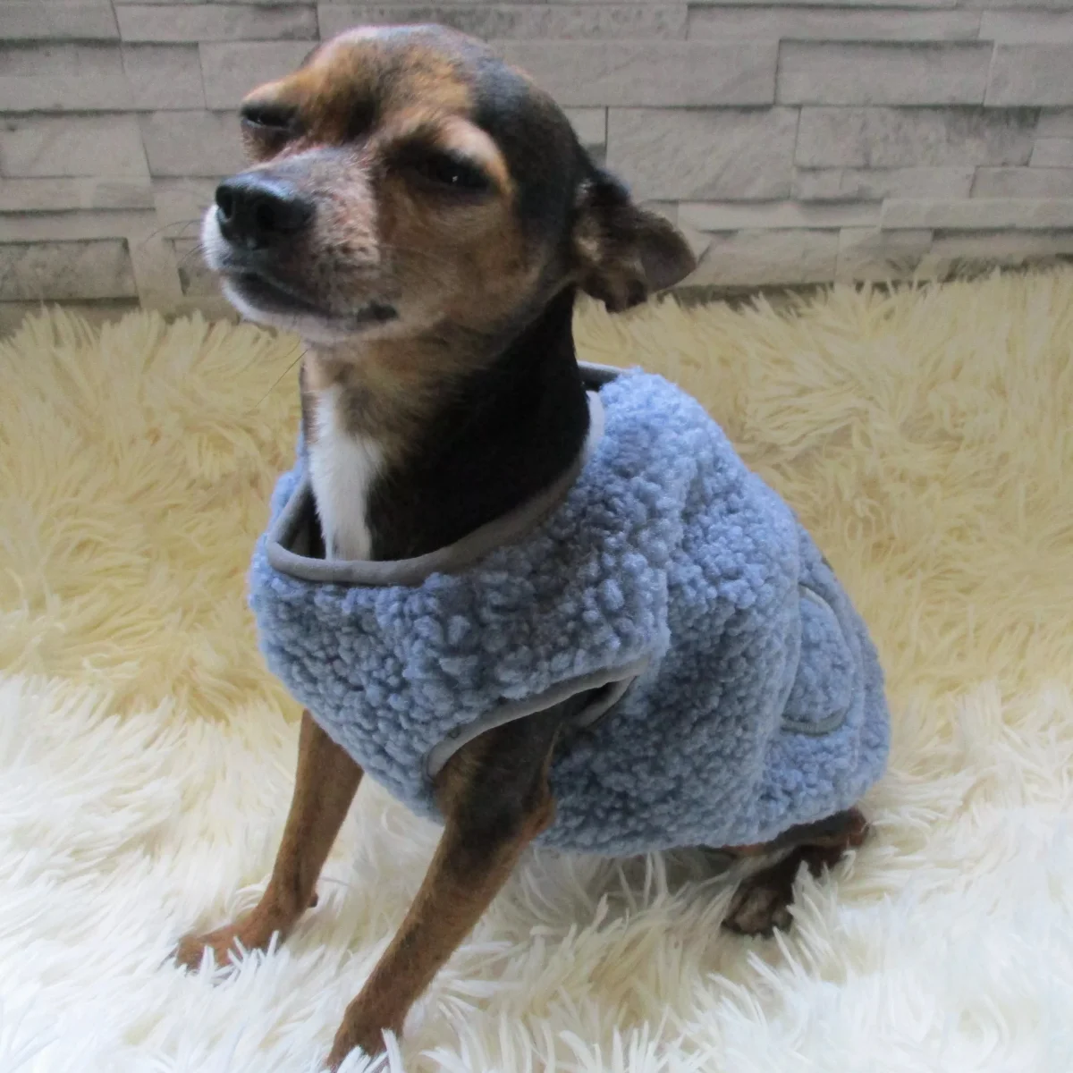 Winter Fleece Buttoned Dog Cat Vest Coat - immagine 3