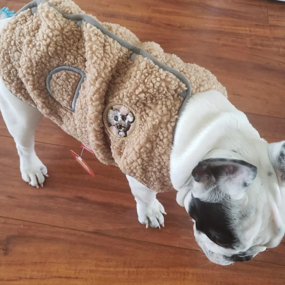 Winter Fleece Buttoned Dog Cat Vest Coat - immagine 6