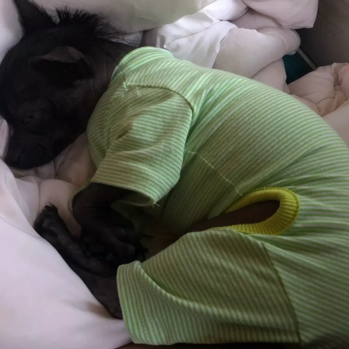 Four Legs Cat Dog Jumpsuit Pajamas - immagine 3