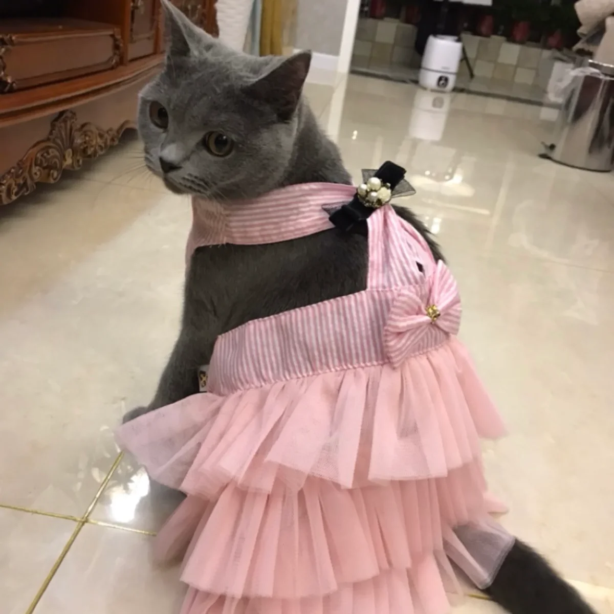 Bowknot Layered Lace Dog Cat Dress - immagine 6