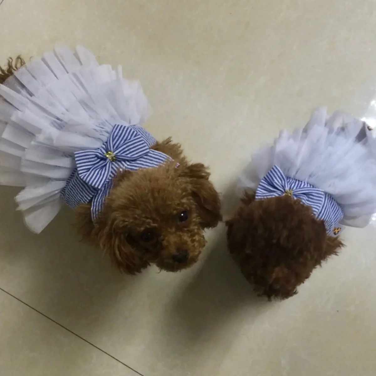 Bowknot Layered Lace Dog Cat Dress - immagine 8