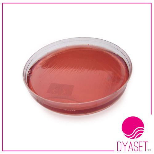 MAC CONKEY AGAR 20PS - immagine 2