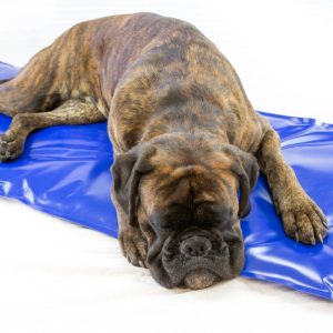 MATERASSO RISCALDANTE – CARBON TECH