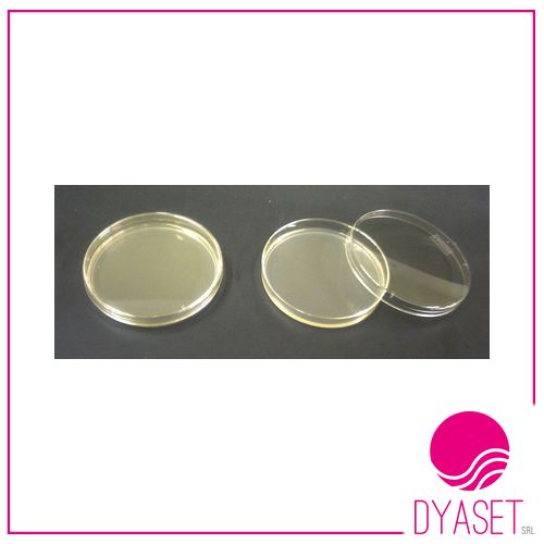 SABOURAUD AGAR 20ps - immagine 2