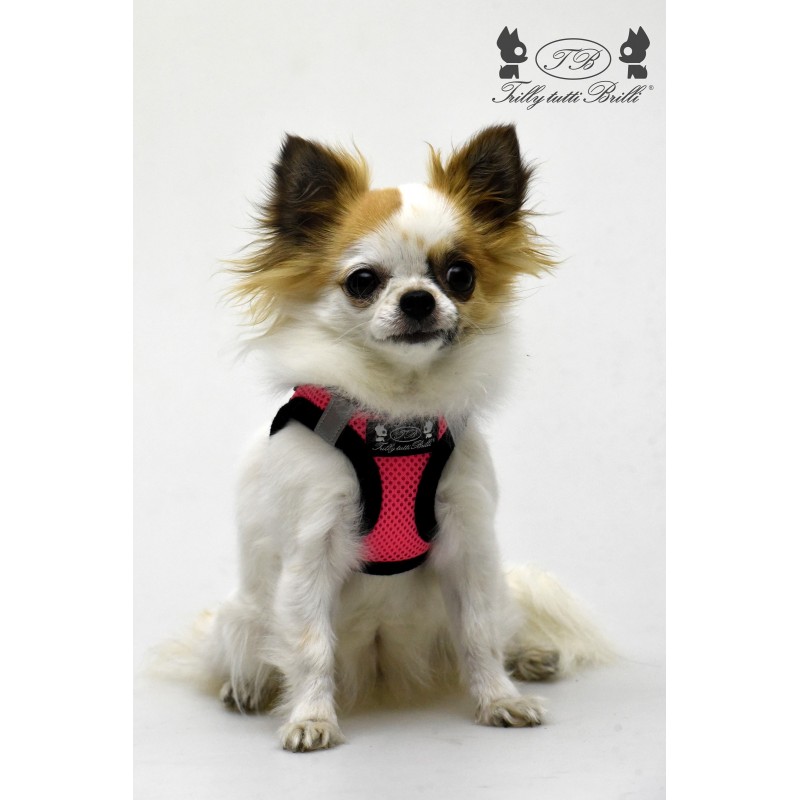 Pink Air Mesh Harness - immagine 4