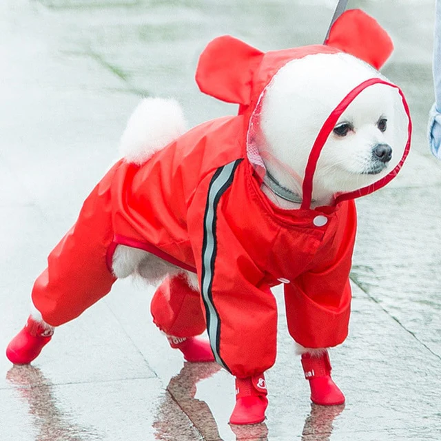 Hooded Raincoat/Shoes for Dogs - immagine 6