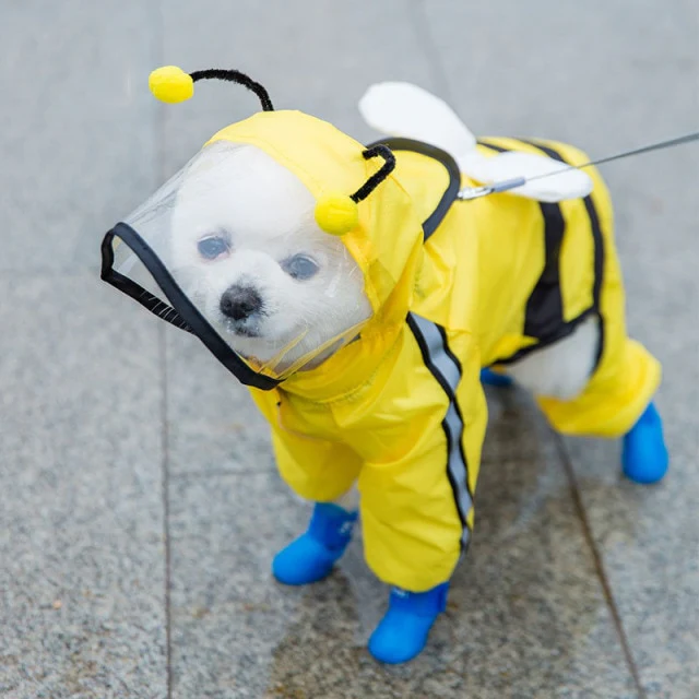 Hooded Raincoat/Shoes for Dogs - immagine 4