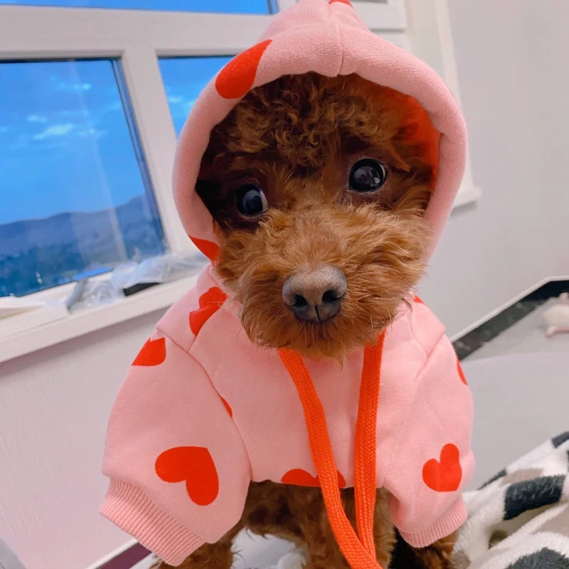 Cute Heart Dog Hoodie Sweatshirt - immagine 4
