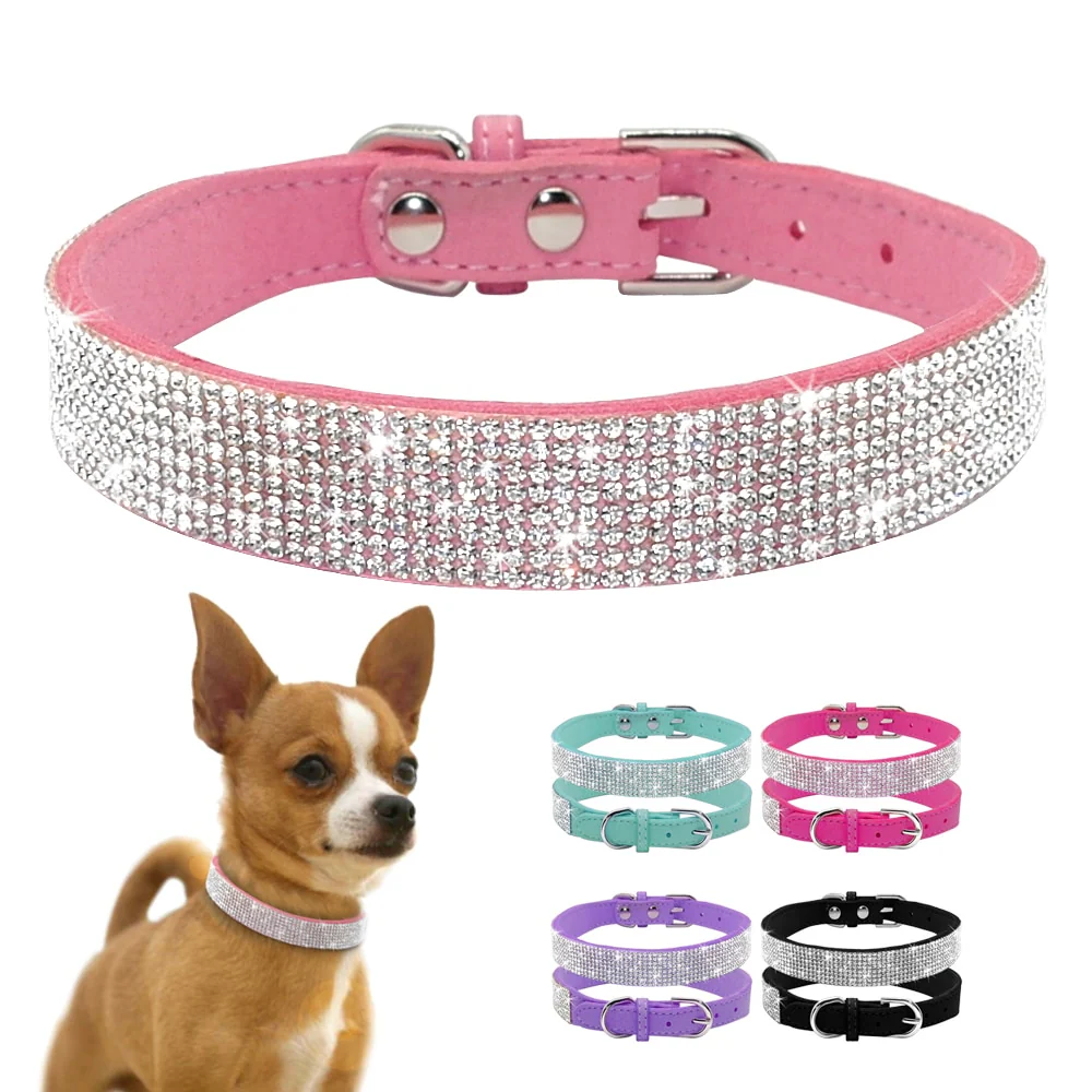 Crystal Buckled Dog Collar - immagine 2