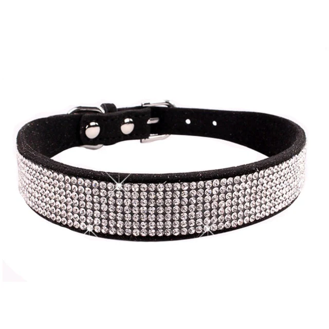 Crystal Buckled Dog Collar - immagine 6