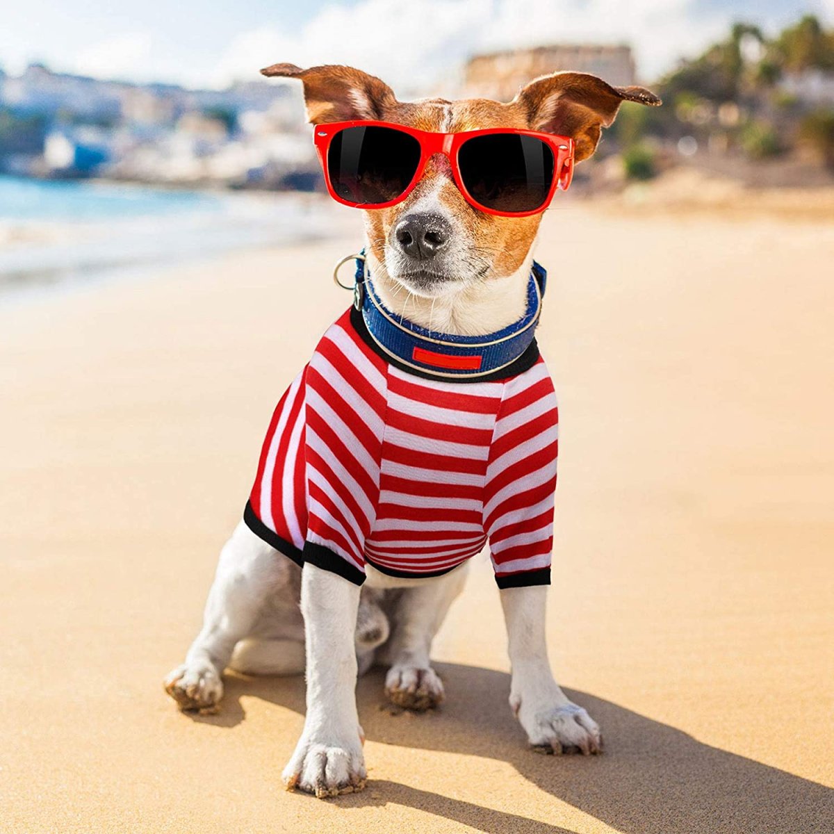 Striped Cotton Dog Cat T-shirt - immagine 3